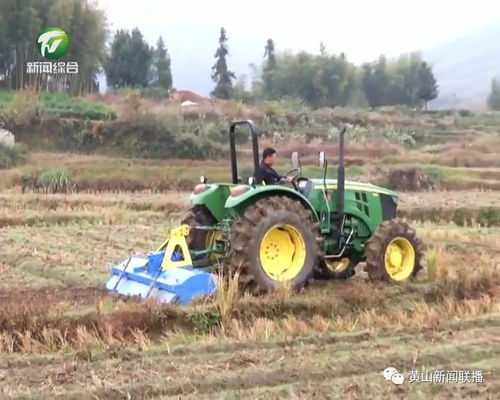 魏良富 以綠色安全鑄就品質，走精品農業的可持續發展之路