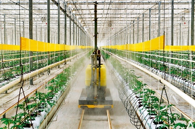 完善三大體系，筑牢農產品生產基石，助推鄉村產業振興