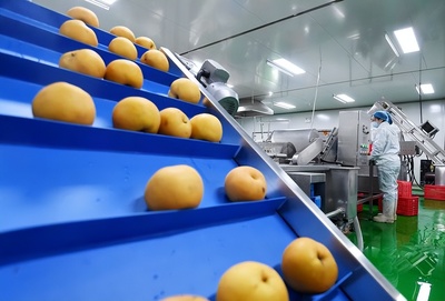 河北晉州 以農產品深加工為引擎，激活縣域經濟發展新動能